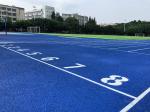 Full PU Synthetic Athletic Track System 13mm 15mm 20mm Durable High Friction And