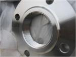 Steel Thread Flanges
