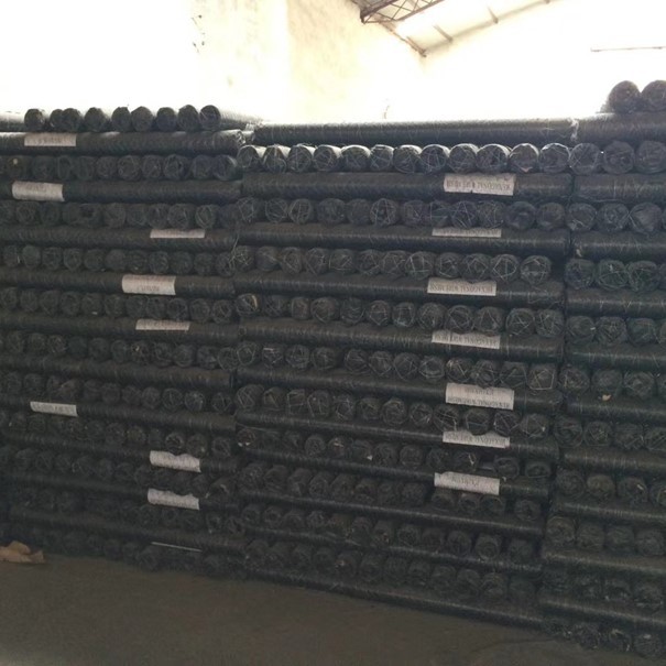 Hexagonal mesh wire netting Stone Cages Gabion Galvanized Wire Roll pvc coated wire