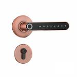 F2 Smart Fingerprint Handle Locks