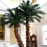 Washington Coconut Artificial Landscape Trees Hotel Restaurant Anti UV Long