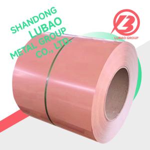 Quality ISO9001 Certified Color Zinc Coated Coil 914/2438mm Prepainted Galvanized Ppgi Steel Coil for Durable Construction wholesale