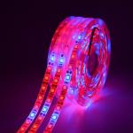 5m Full Spectrum Red Blue 4:1 LED Flower Lights