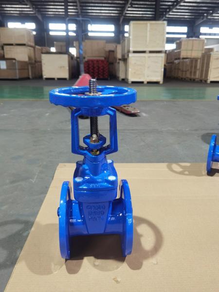 Water / Steam / Oil Soft Seat Gate Valve With Extend Stem DIN / BS5163 / ANSI /