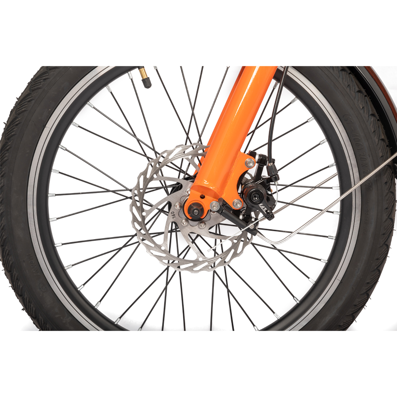 Extra Large Capacity Home Electric Bike with 48V500w High Power Motor and Aluminum Fork
