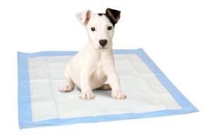 Quality OEM Puppy Pee Pads 15g 4 Layer 60x60 Xxl Wee Wee Pads wholesale