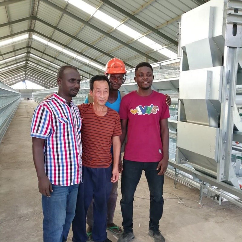 Fully Automatic Battery Chicken Cage Layer H Type Laying Hens Egg 2mm
