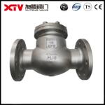 Industrial Usage Stainless Steel Flange Connector BS970 Straight S/S Swing Check