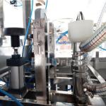 Stainless Steel 5 Gallon Water Filling Machine Double Line Sterile Water Washing