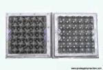 Egg Crate Moulding plant(FC-ZMW-3)
