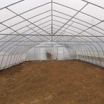 Strawberry Growing Side Ventilation Single Span Greenhouse For Agriculture