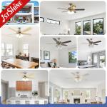 Metal Classic AC Motor Ceiling Fan With Light 5 Plywood Blades