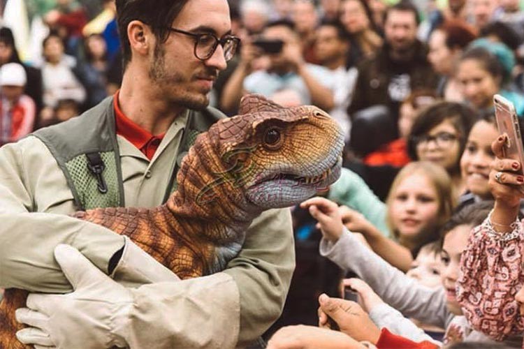 Attractive Realistic Dinosaur Puppet , Realistic Baby Dinosaur Puppet