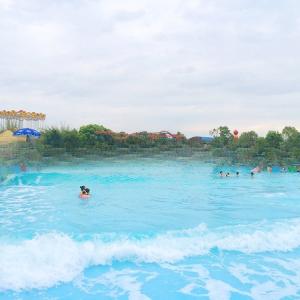 Quality International Standard Swim Wave Pool Water Park Design Customized wholesale