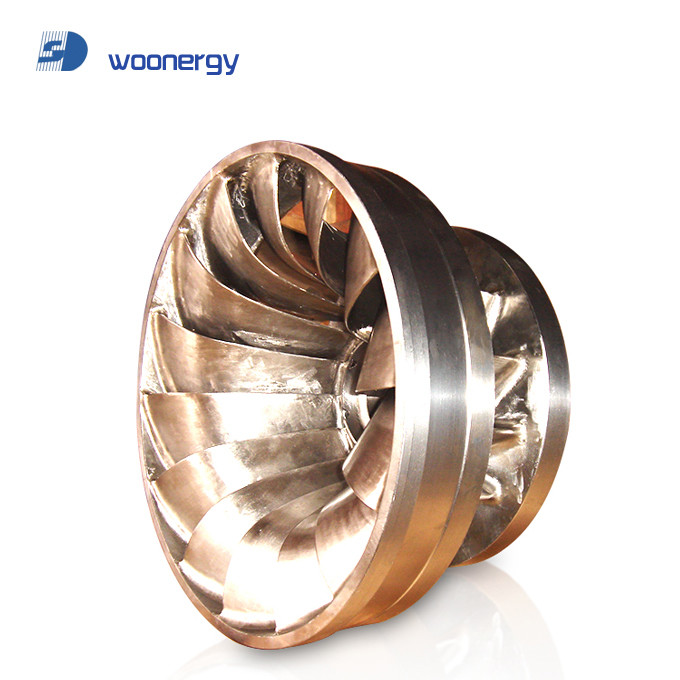 1MW Vertical Francis Turbine Generator For Hydraulic Power Station