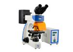 Professional Trinocular Upright Fluorescence Microscope 100W Mercury Lamp