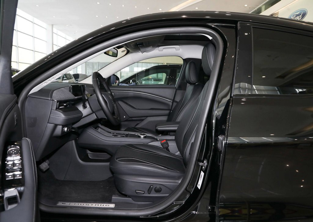 China Ebu Light Luxury 4 Wheeler Electric Vehicle Ford Electric Horse 2021 Borderless Rear Drive Deluxe Edition (Long Range)
