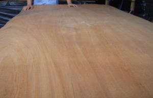 Quality Okoume Yellow Rotary Cut Veneer MDF For Surface Of Furniture wholesale