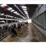 Easy Install Industrial Steel Sheds Customized Low Cost Steel Buildings