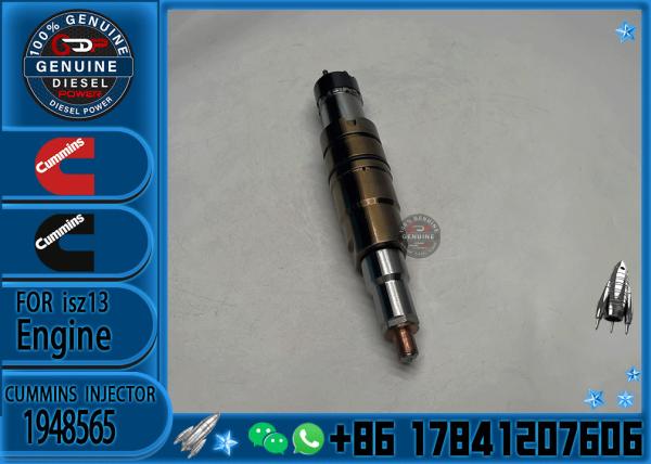 2029622 Genuine Diesel Common Rail Fuel Injector 1948565 2030519 2031836 2031835