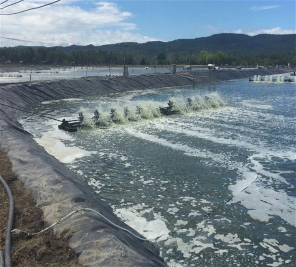 HDPE Geomembrane Sheet for Fish Farm Tank Pond Tarpaulin Liner Piscine at Affordable