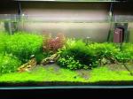 Floating Algae Magnet Cleaner For Aquariums