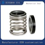 BERGMAN TYPE/T21S Inch Graphite Silicon Carbide Tungsten Carbide Nitrile Viton