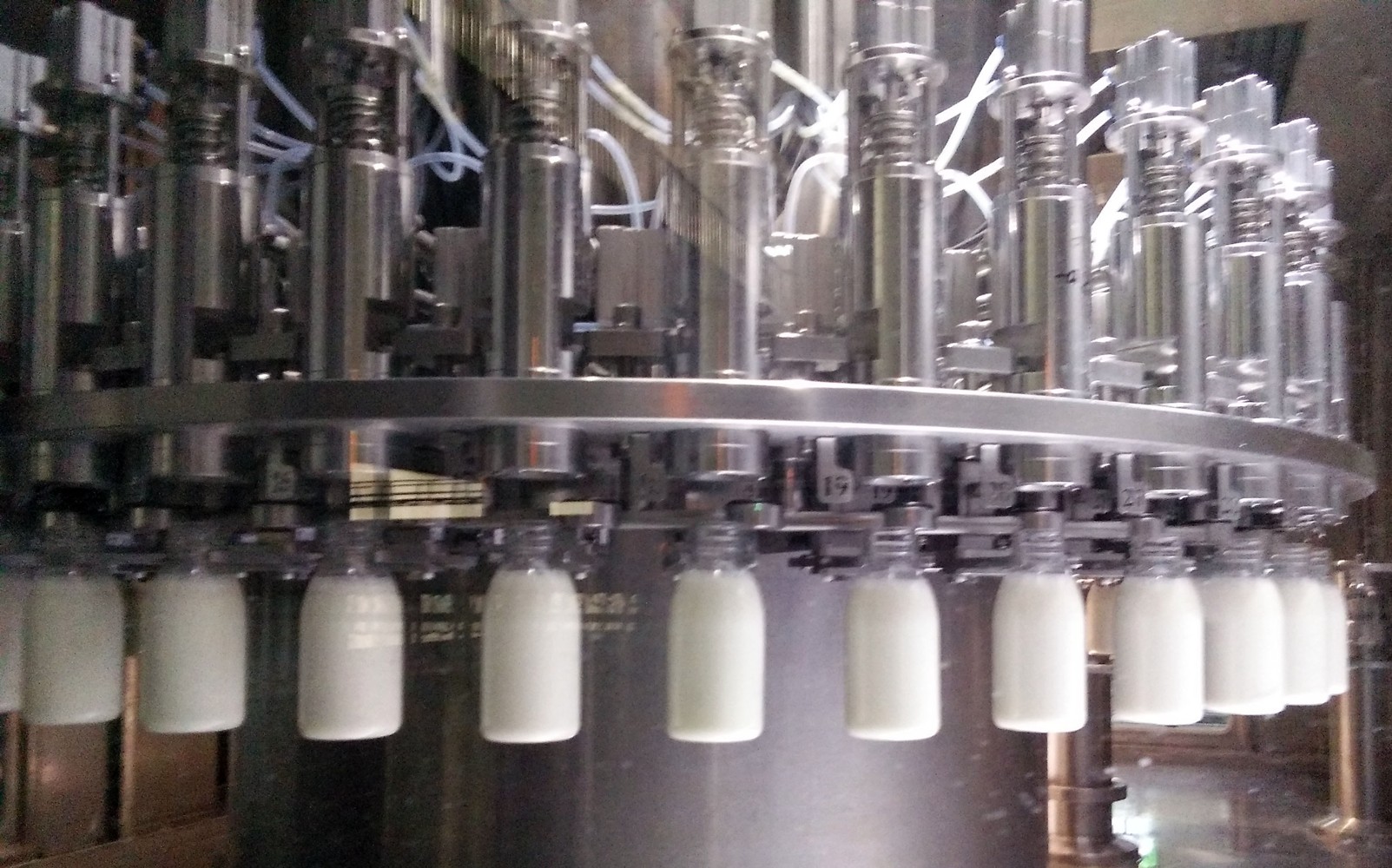10000BPH Milk Filling Machine