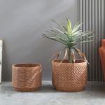 Stunning Plant Display With Fiber Clay Planters Durable And Stylish