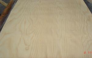 Quality Light Yellow Nature Rotary Cut Anegre Veneer For Furniture wholesale