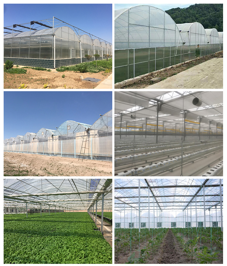 95% Transmittance Agricultural Plastic Film Greenhouse With Film Cover Material