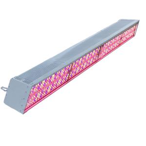 Quality 660nm Red UV LED Supplemental Grow Lights Lm301b AC 240V For Plants wholesale