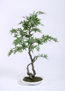 Quality Lush Artificial Maple Bonsai , Bonsai Artificial Pret Botanical Mix Indoor Decor wholesale