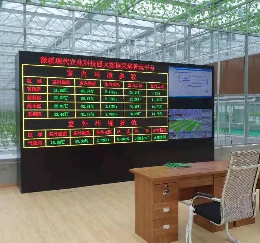 Customization Snow Vibrator Greenhouse for Tomato Planting