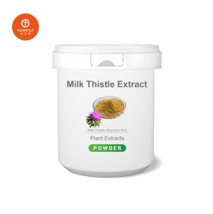 Quality Factory Supply 80% Silymarin 30% Silybin Isosilybin Milk Thistle Extract wholesale