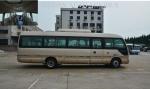 Electric Wheelchair Ramp Star Minibus Transport Electric Tourist Bus
