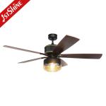 Downrod Mount Remote Control Cage Ceiling Fan 20in With Light