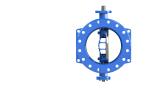 EN593 RAL5010 Dovetail Rubber Seal Butterfly Valve