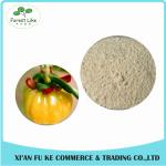 Food Ingredients Fruit Extract 100% Natural Garcinia Cambogia Extract