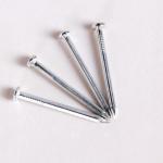 Silver Stainless Steel Concrete Nail Box Packing For Building