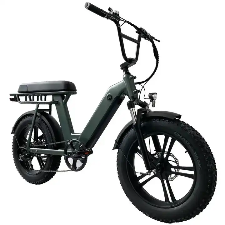 2 Wheel Electric Fat Tire Bike 48V 500W Aluminum Alloy 20 Inch Fat Tyre Electric Bike