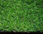 cheap landscaping artificial grass Popular in southeast Asia