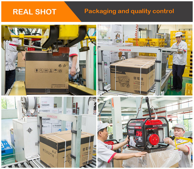 IP23 Protection Class 3000W 3500W 5000W Dynamo Diesel Generators for Residential