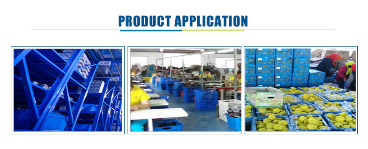 Disposable Totes Plastic Storage Food Container