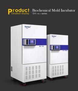 Quality Biological Lab Incubator Machine Incubator For Bacterial Culture 110V 220V wholesale