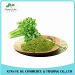 Natural Celery / Apium graveolens Juice Powder