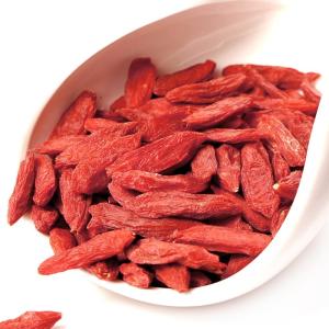 Quality Bio Dried fruit good for health Berry goji certified organic ningxia goji berry wholesale