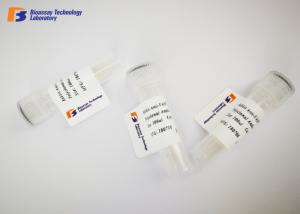 Quality PDK1 Rabbit Polyclonal Antibodies 20ul / 50ul / 100ul Size Available wholesale