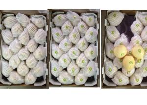 Quality Sweet Juicy Fresh Chinese Ya Pears Fruit Delicious Crown Pear wholesale
