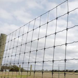 China High Strength Galvanized Fixed Knot Cattle Fence Metal Iron on sale